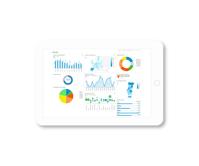 primavera-business-analytics_2