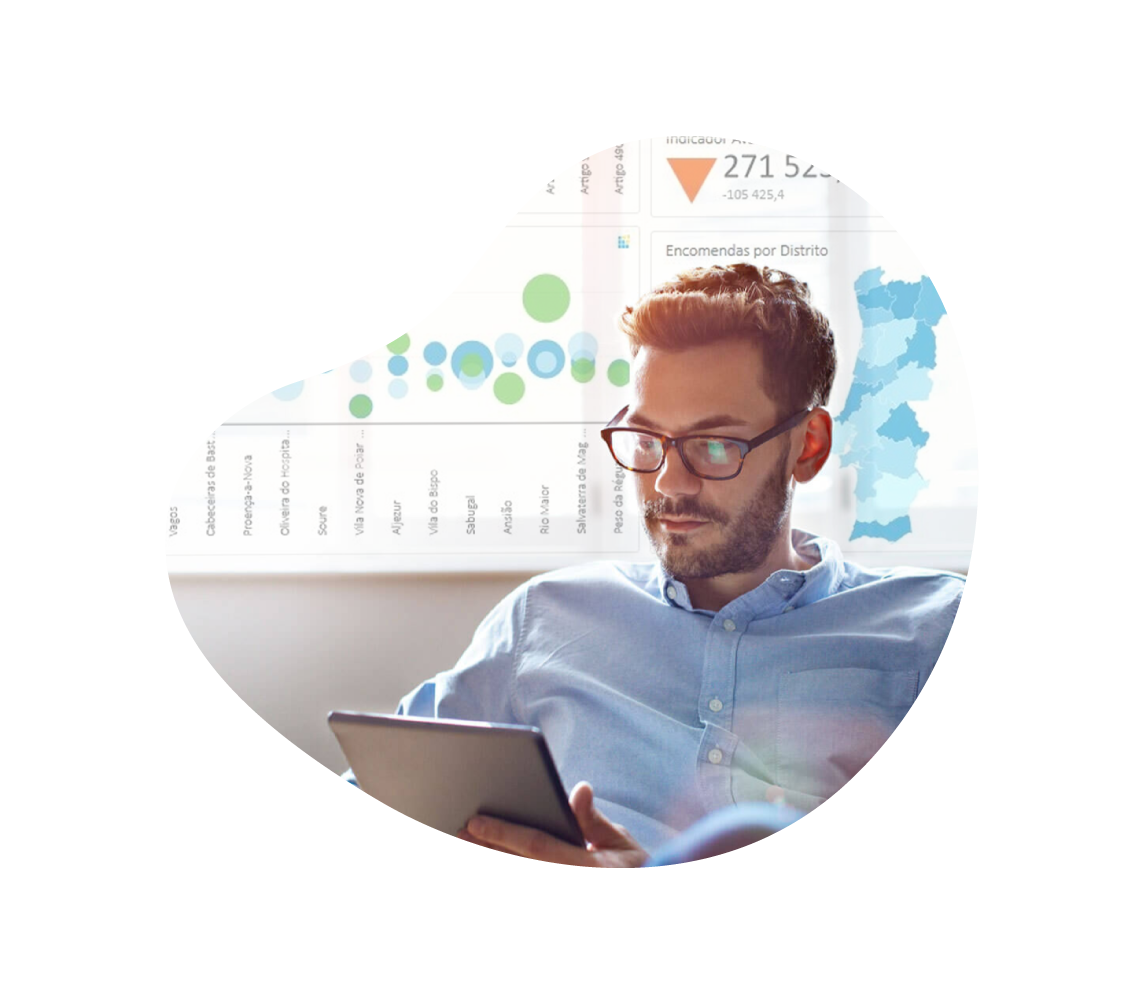 primavera-business-analytics_3